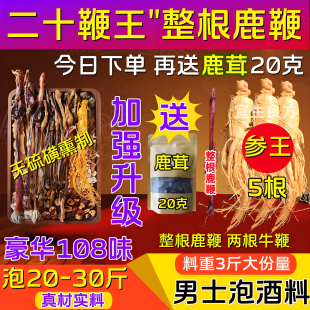 男士 泡酒药材专用鹿鞭泡酒料十全肾中药材鹿茸大人参滋补养生材料