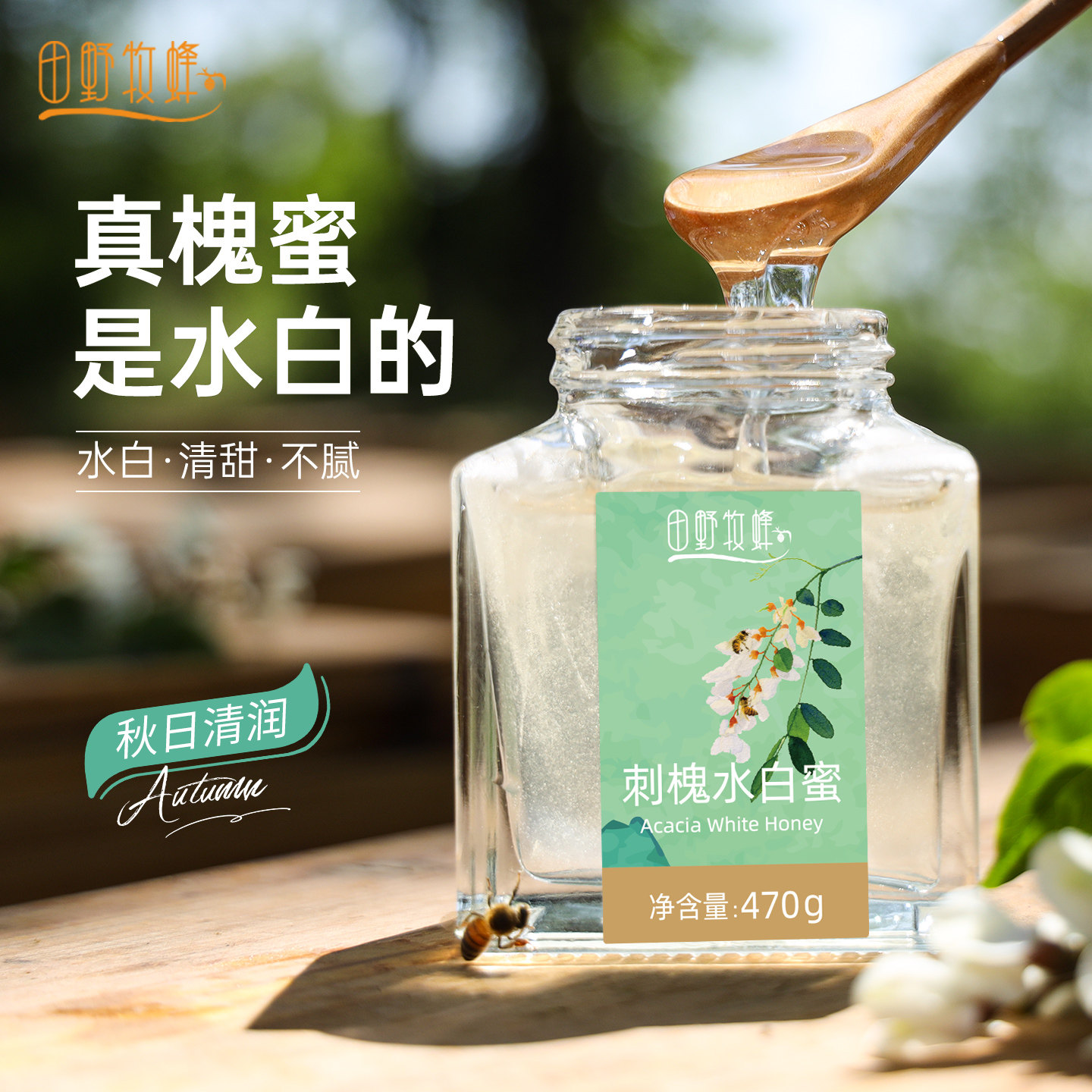 2026新采槐花蜜正品秦岭自然成熟