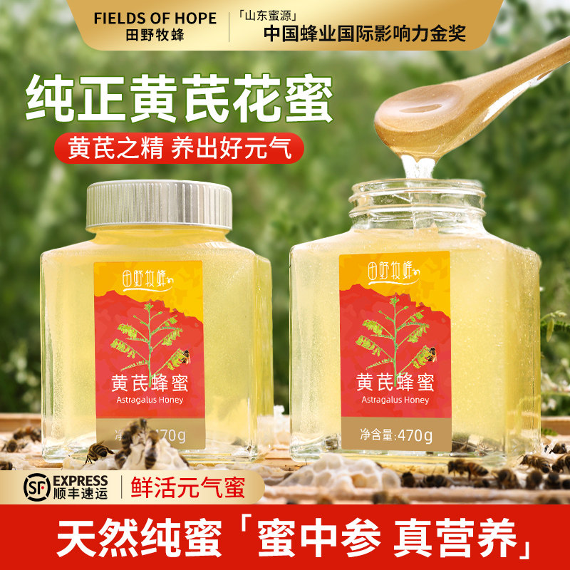 田野牧蜂黄芪蜂蜜天然成熟蜜正宗甘肃黄芪花蜜珍稀本草蜜营养好蜜