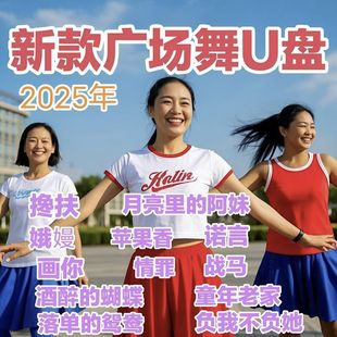 广场舞U盘 中老年广场舞视频歌曲零基础入门教程版 MP4优盘 新款