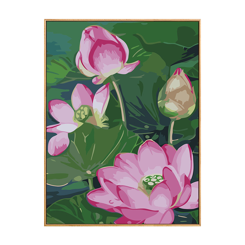 芙蓉荷数字油画手绘房间装饰画填充油彩画手工填色画画涂色