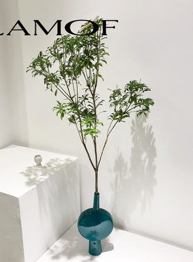 (当季推荐)  LAMOF 日本进口马醉木鲜切枝花期长室内水养绿植