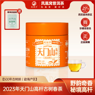 天门山2023年普洱生茶龙珠/古树头春/56克/罐/2023年 带茶样