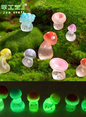 4个组合新款苔藓微景观创意夜光