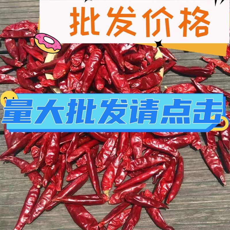 河南辣椒新一代干辣椒微辣特香朝辣椒粉料/蘸料