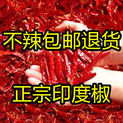 【批发优质精品】印度椒s17魔鬼椒高辣特辣超辣香辣干辣椒批发
