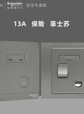 施耐德荧光灰色13A有制保险菲士苏 带开关制13A菲士苏 接线苏面板