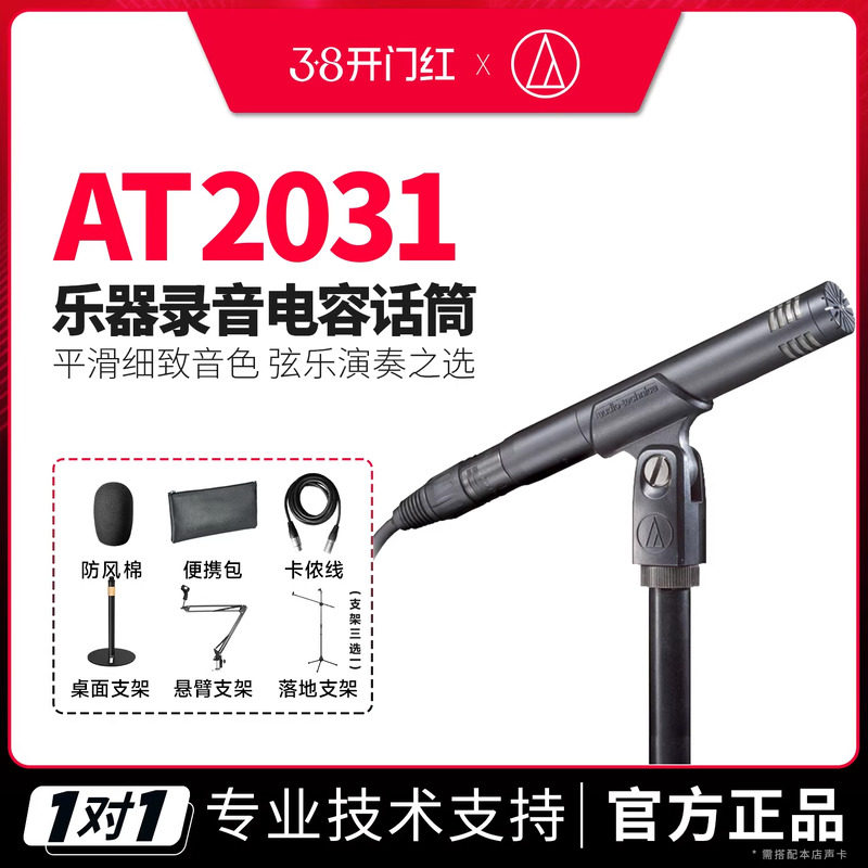 铁三角 AT2031小振膜电容麦钢琴提琴吉他弹唱人声乐器话筒麦克风