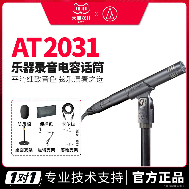 铁三角 AT2031小振膜电容麦钢琴提琴吉他弹唱人声乐器话筒麦克风