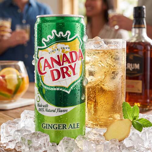 CanadaDry姜味碳酸饮料330ml罐装波兰进口洋姜味气泡饮料清爽解腻