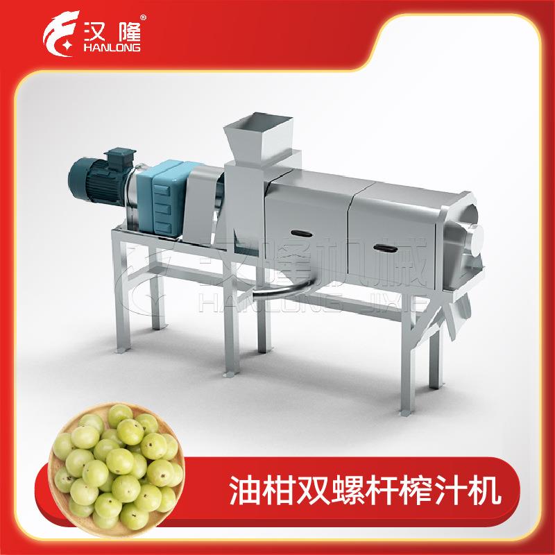 厂家直销不锈钢果蔬工业油柑双螺杆榨汁机土豆螺旋挤压机脱水机