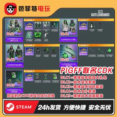pubg朱芳芳PIGFF大礼包联名套装