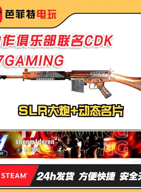 pubg17gaming动态名片SLR大炮