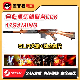 PUBG绝地求生17gaming动态名片CDK皮肤SLR大炮17shou兽战队俱乐部