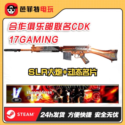 pubg17gaming动态名片SLR大炮