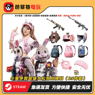 PUBG绝地求生皮肤小兔学院超级大礼包吃鸡兔子衣服ACE枪兑换码 CDK