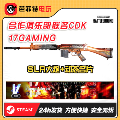 pubg17gaming动态名片SLR大炮