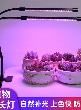 仿太阳植物生长灯室内多肉补光灯全光谱光合作用led微景观日照灯
