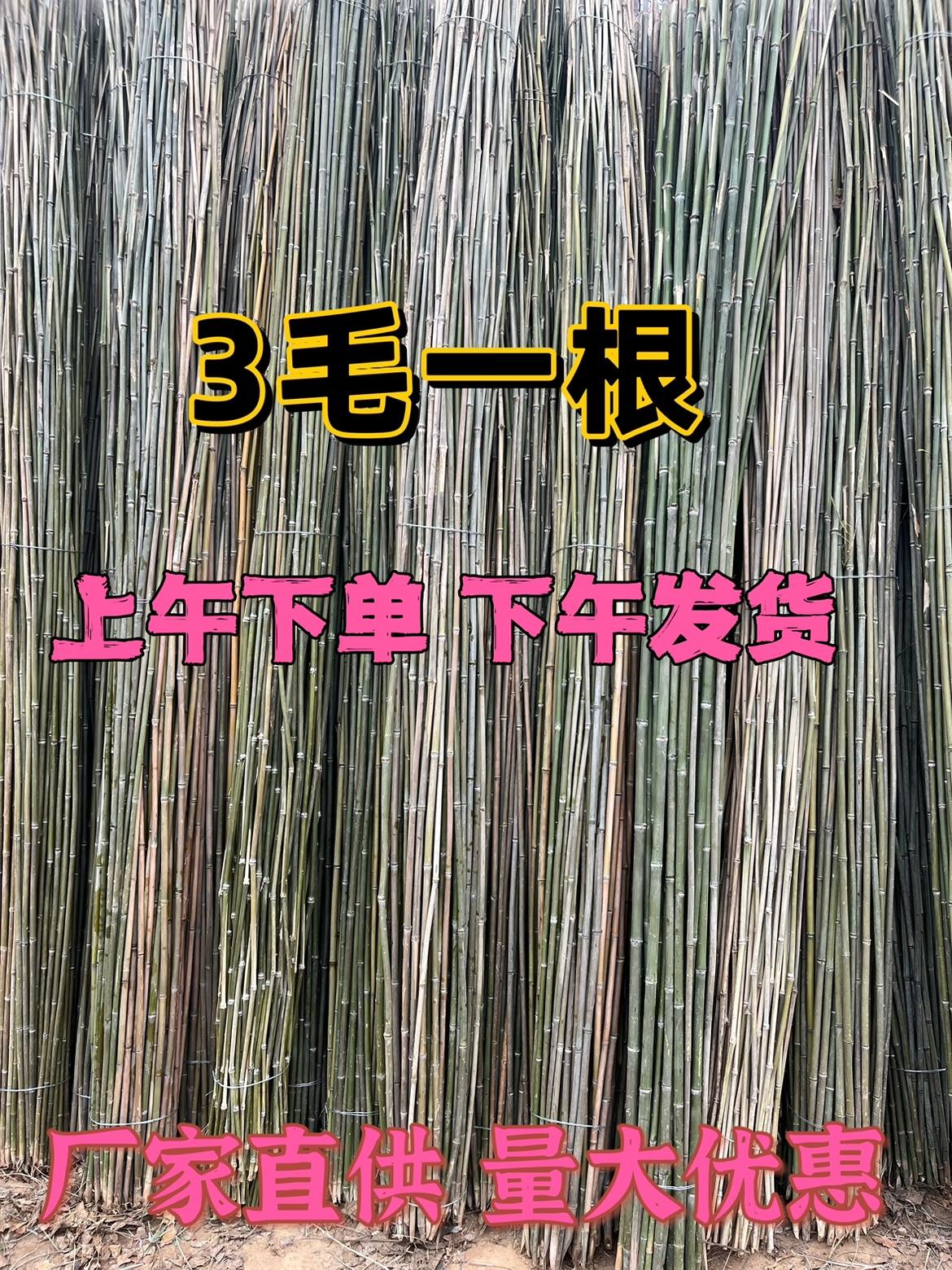 小竹杆爬藤架竹竿菜园搭架豆角黄瓜支架竹篱笆栅栏彩旗杆防腐装饰 鲜花速递/花卉仿真/绿植园艺 栅栏 原图主图