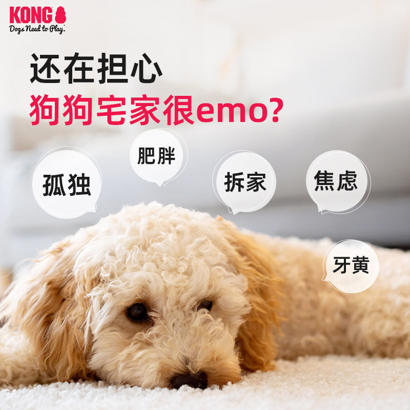 KONG狗狗发声玩具磨牙绳
