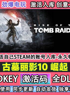 古墓丽影10崛起steam游戏 激活码cdk入库全DLC游戏 线上畅玩