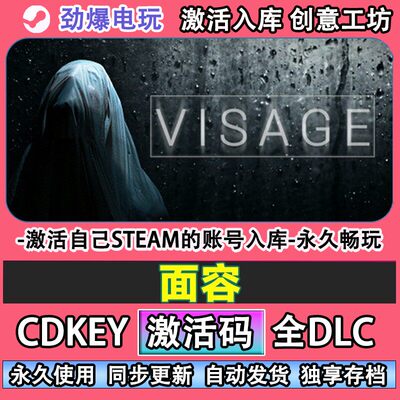 面容steam游戏Vige激活