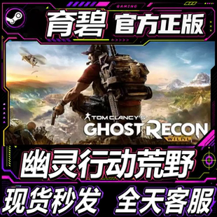 PC正版育碧Uplay 幽灵行动荒野 Tom Clancys Ghost Recon 激活码