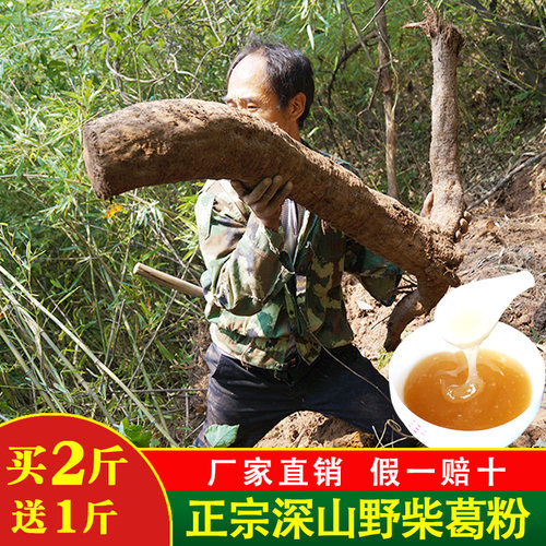 张家界纯正天然野生葛根粉 天然野生