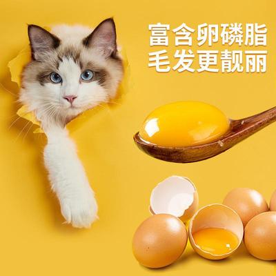 Freezing dry cat food, 10 pounds of puppies, 10 kg cat snack