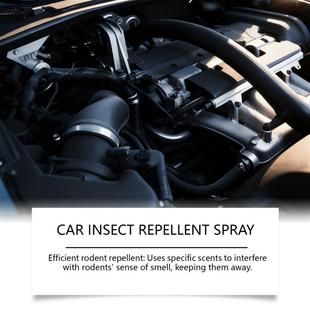 spray. avoid Car rodents