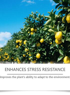 Fertilizer for fruit, flower gardening for flowering in and