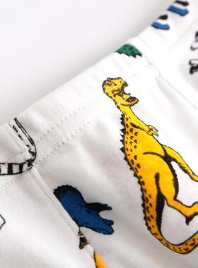 U.S. boys knickers full of cotton, baby dinosaurs.