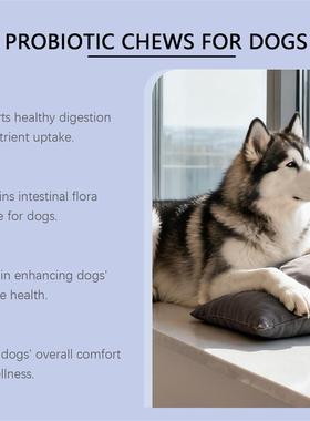 The puppies are somber particles, the intestinal balance of