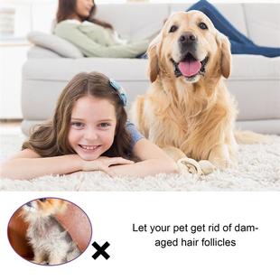 Yegbong pet hair supplement, cat and dog hair modifier to pr