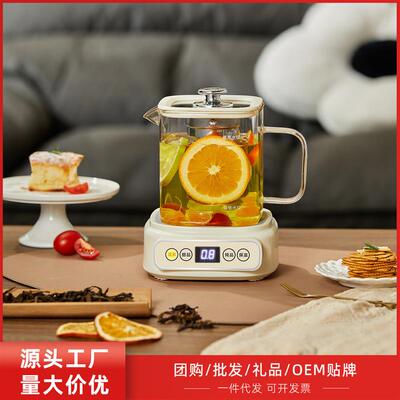 Hostel teapot gift for multi-purpose domestic water-burning