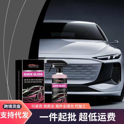 RAYHONG Car Gloss Care Agent, Car Coating Agent, Paint Wax,