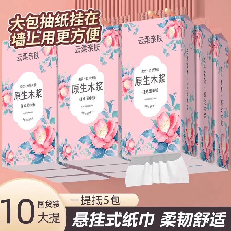 Hanging-style facial tissue, napkins, family-sized wet-wipe