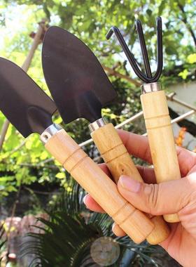 Home Gardening Tool Set for Planting Vegetables, Flowers, an