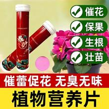 General-purpose Slow-release Plant Nutrient Tablets, Fertili