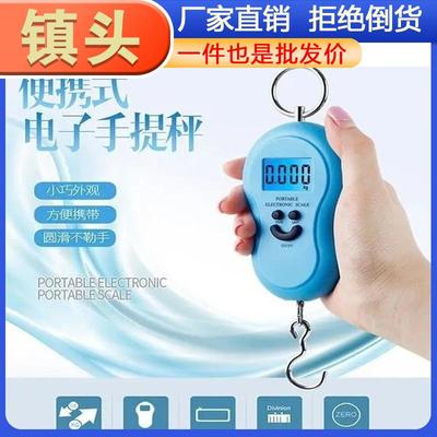 Home Mini Scale Luggage Weighing Digital Scale Handheld Scal