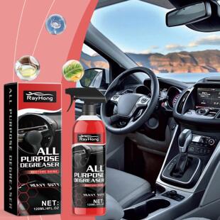Rayhong Multi-Purpose Car Cleaner - Cleans Stains on Seats,