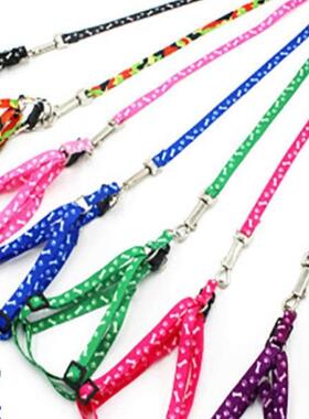 Dog leash for Teddy, Golden Retriever, and other pets. Avail