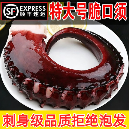 新鲜大章鱼须鱿鱼须脆口大章鱼足商用烧烤刺身海鲜章鱼小丸子食材