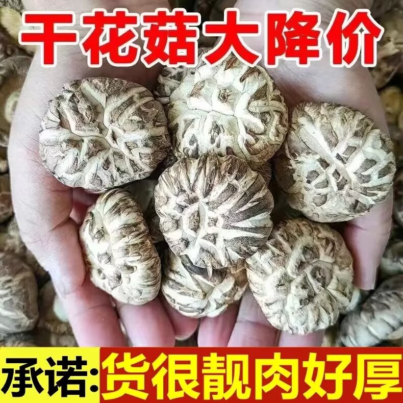 新货精选厚肉大花菇小花菇500克包邮椴木菌菇蘑菇冬菇大小可选 粮油调味/速食/干货/烘焙 香菇类 原图主图