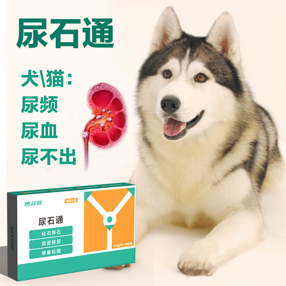 宠物尿石通狗狗猫咪尿路结晶结石尿频尿血闭尿不出通肾利尿排结石