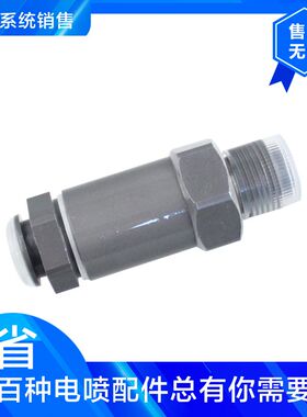 泄压阀F00R000632 F00R000754 F00R001048 1110010033共轨限压阀