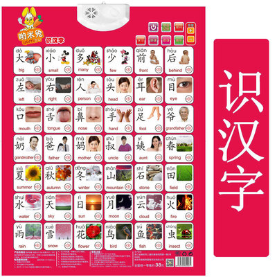 看图婴儿发声挂画数学识字卡
