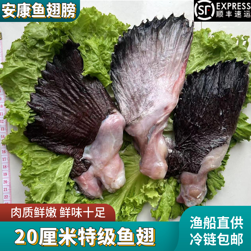 鱼翅鱼鳍特级安康鱼翅顺丰包邮翅中翅膀大补安康鱼翅膀鱼鳍鱼尾 水产肉类/新鲜蔬果/熟食 安康鱼 原图主图