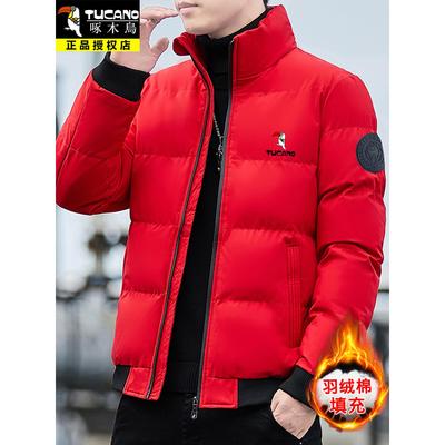 啄木鸟棉衣男潮流新款保暖羽绒棉服棉袄立领加厚冬天外套中青年