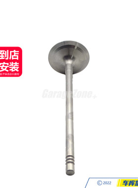GZ-TH11347539919进气门适用于宝马N52B25/3系5系X3E60E90E83